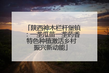 陕西神木栏杆堡镇：一垄瓜苗一垄药香 特色种植激活乡村振兴新动能