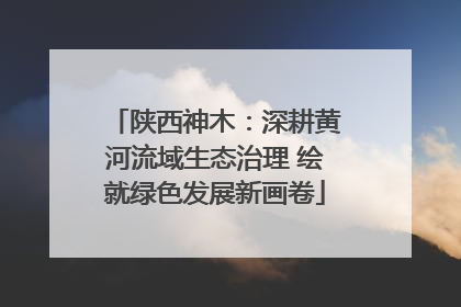 陕西神木：深耕黄河流域生态治理 绘就绿色发展新画卷