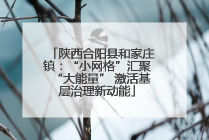 陕西合阳县和家庄镇：“小网格”汇聚“大能量” 激活基层治理新动能