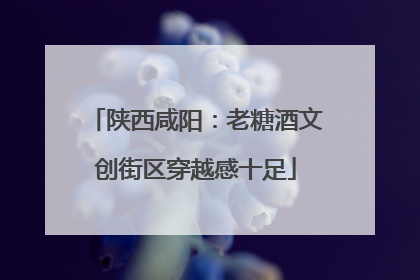 陕西咸阳：老糖酒文创街区穿越感十足
