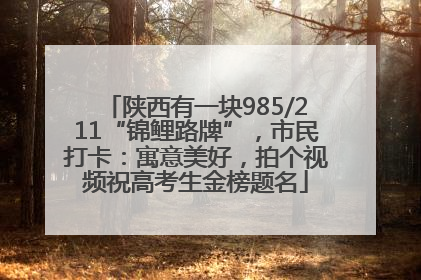 陕西有一块985/211“锦鲤路牌”，市民打卡：寓意美好，拍个视频祝高考生金榜题名