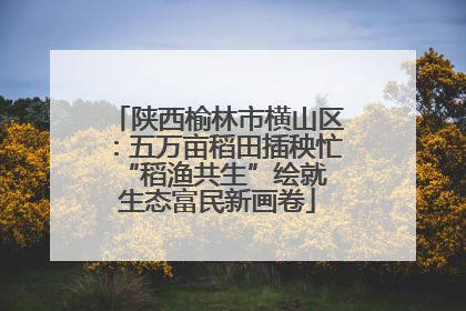 陕西榆林市横山区：五万亩稻田插秧忙 “稻渔共生”绘就生态富民新画卷