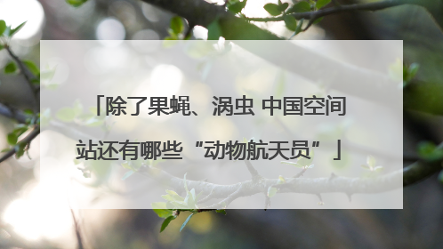 除了果蝇、涡虫 中国空间站还有哪些“动物航天员”