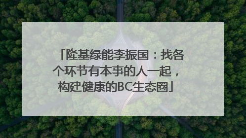 隆基绿能李振国：找各个环节有本事的人一起，构建健康的BC生态圈