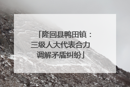 隆回县鸭田镇：三级人大代表合力调解矛盾纠纷