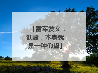 雷军发文：诋毁，本身就是一种仰望