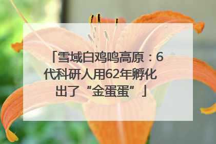 雪域白鸡鸣高原：6代科研人用62年孵化出了“金蛋蛋”