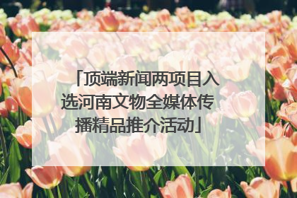 顶端新闻两项目入选河南文物全媒体传播精品推介活动