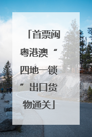 首票闽粤港澳“四地一锁”出口货物通关