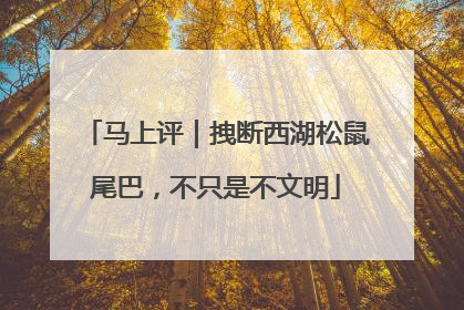 马上评｜拽断西湖松鼠尾巴，不只是不文明