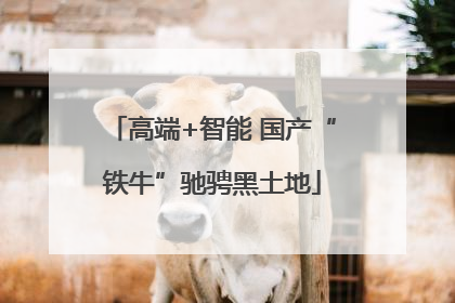 高端+智能 国产“铁牛”驰骋黑土地
