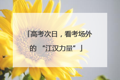 高考次日，看考场外的 “江汉力量”
