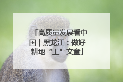 高质量发展看中国｜黑龙江：做好耕地“土”文章
