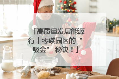 高质量发展能源行丨零碳园区的“吸金” 秘诀！