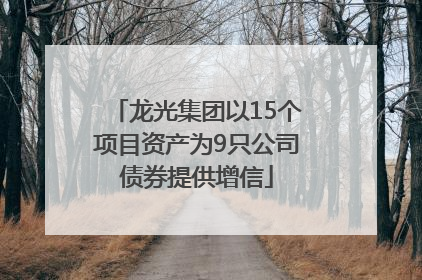 龙光集团以15个项目资产为9只公司债券提供增信
