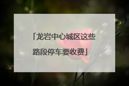 龙岩中心城区这些路段停车要收费