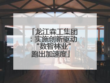 龙江森工集团：实施创新驱动 “数智林业”跑出加速度
