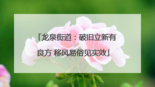 龙泉街道：破旧立新有良方 移风易俗见实效