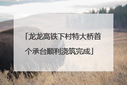 龙龙高铁下村特大桥首个承台顺利浇筑完成