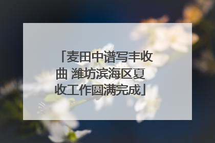 麦田中谱写丰收曲 潍坊滨海区夏收工作圆满完成
