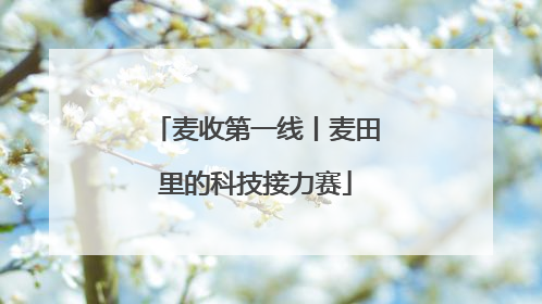 麦收第一线丨麦田里的科技接力赛