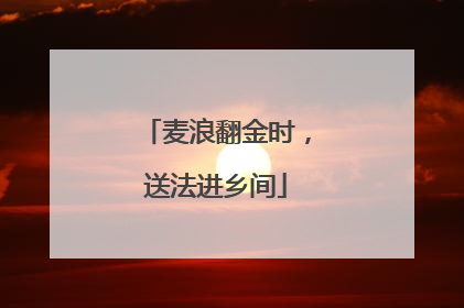 麦浪翻金时，送法进乡间