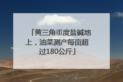 黄三角重度盐碱地上，油菜测产每亩超过180公斤
