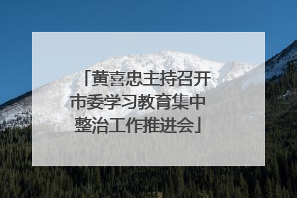 黄喜忠主持召开市委学习教育集中整治工作推进会
