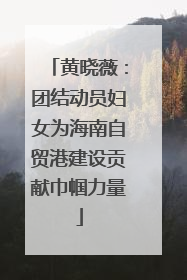 黄晓薇：团结动员妇女为海南自贸港建设贡献巾帼力量