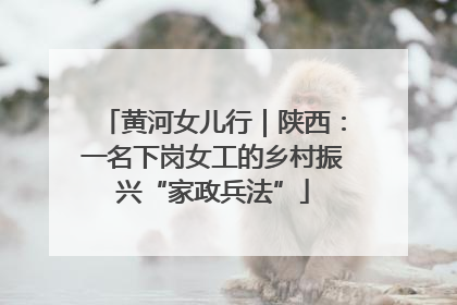 黄河女儿行｜陕西：一名下岗女工的乡村振兴“家政兵法”