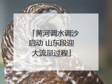 黄河调水调沙启动 山东段迎大流量过程