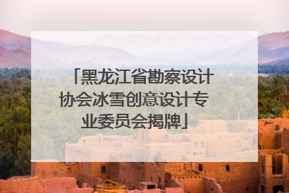 黑龙江省勘察设计协会冰雪创意设计专业委员会揭牌