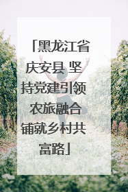 黑龙江省庆安县 坚持党建引领 农旅融合铺就乡村共富路