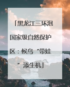 黑龙江三环泡国家级自然保护区：候鸟“带娃”添生机