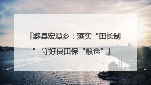 黟县宏潭乡：落实“田长制” 守好良田保“粮仓”