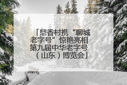 鼎香村携“聊城老字号”惊艳亮相第九届中华老字号（山东）博览会
