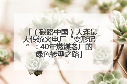 （碳路中国）大连最大传统火电厂“变形记”：40年燃煤老厂的绿色转型之路