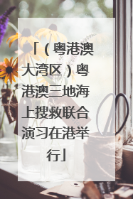 （粤港澳大湾区）粤港澳三地海上搜救联合演习在港举行