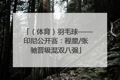 （体育）羽毛球——印尼公开赛：程星/张驰晋级混双八强