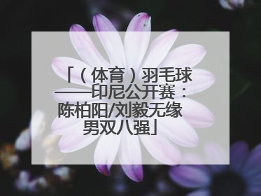 （体育）羽毛球——印尼公开赛：陈柏阳/刘毅无缘男双八强