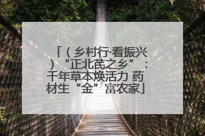（乡村行·看振兴）“正北芪之乡”：千年草本焕活力 药材生“金”富农家
