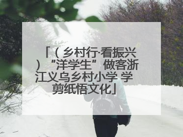 （乡村行·看振兴）“洋学生”做客浙江义乌乡村小学 学剪纸悟文化