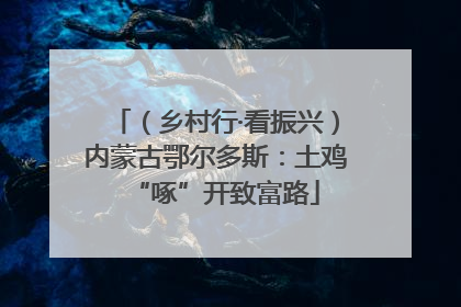 （乡村行·看振兴）内蒙古鄂尔多斯：土鸡“啄”开致富路