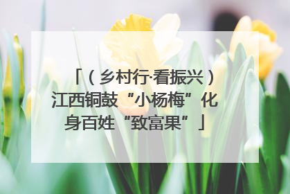 （乡村行·看振兴）江西铜鼓“小杨梅”化身百姓“致富果”