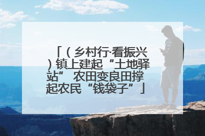（乡村行·看振兴）镇上建起“土地驿站” 农田变良田撑起农民“钱袋子”