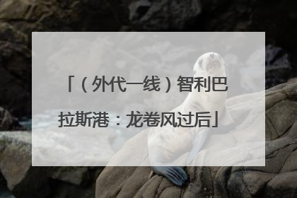 （外代一线）智利巴拉斯港：龙卷风过后