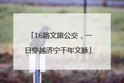 16路文旅公交，一日穿越济宁千年文脉