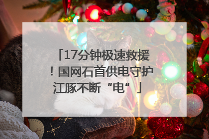17分钟极速救援！国网石首供电守护江豚不断“电”