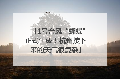 1号台风“蝴蝶”正式生成！杭州接下来的天气很复杂