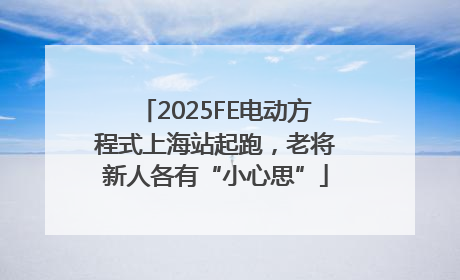 2025FE电动方程式上海站起跑，老将新人各有“小心思”